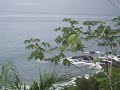Room with a View