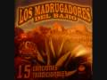 los madrugadores del bajio mejor meboy