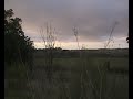 PRADERA.