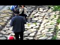 Beautiful spring in South Korea