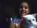 pudim