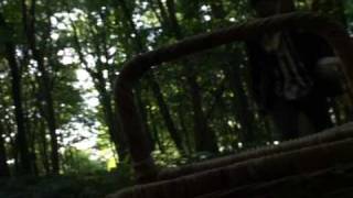 Moth's Wings - Passion Pit (Music Video) - YouTube