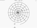 a succesful spiral :)

and no i did not use a spiral maker