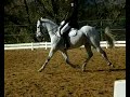 giboulé giboulé