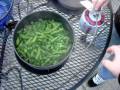 videos de green beans are done