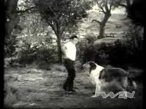 Lassie