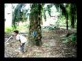 Forum Guru Tidak Tetap di Sabah (FGTTS) : The Movie - Part 1