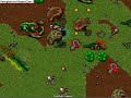 Forbidden Island Solo Tibia Guardia Forbidden Island Solo Tibia Guardia