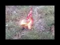 is dat een vieze blood ja cker een vieze blood