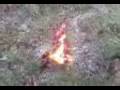 videos de is dat een vieze blood ja cker een vieze blood