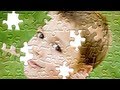 video aula photoshop cs5 efeito quebra cabeça