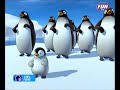 Pigloo - papa pinguin Pigloo - papa pinguin