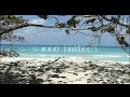 癒しの海 OCEAN BLUE SEA - WEST INDIES 西インド諸島 BAHAMA バハマ DOLPHIN イルカ