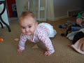 Flossie tries to crawl!