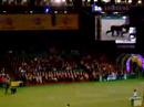 Crufts 2008 BIS Final - The Winner - Giant Schnauzer