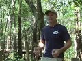 snow leopard: species spotlight  big cat tv