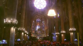 Missa Dominical 20/08/2023