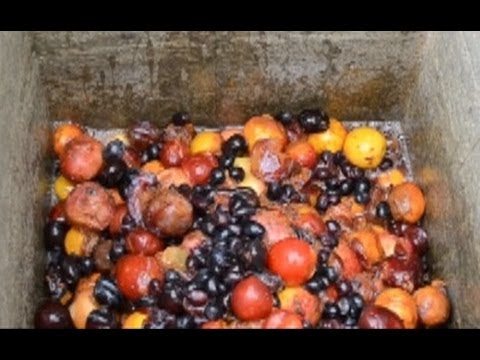 Как сделать с фруктов самогон Как сделать с фруктов самогон