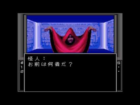 動画