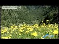 Clicca per visualizzare il video : Laghi & Monti: