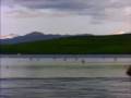 videos de My Movie_1202083