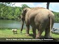 Tarra & Bella / A Match Made in Ele-Heaven