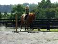 buckley jumping