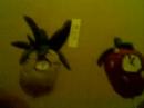 Strawberry And Pineapple Make A Flash Strawberry And Pineapple Make A Flash