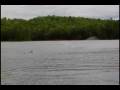 RC Equilibrio Racer Electric Boat