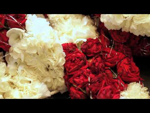 chicago indian wedding - http://delackmediagroup.com/blog/?p=349 Two days of festivities and culture wrapped into one amazing wedding film trailer! We've never seen a horse inside a ...
