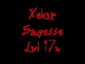 [Vid.1] Xelobecile, Xelor Eau/Air/Sagesse.