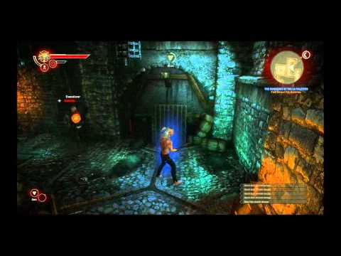 The Witcher 2 : Assassins of Kings