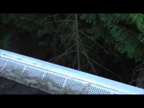 how to install amerimax snap-in gutter filter