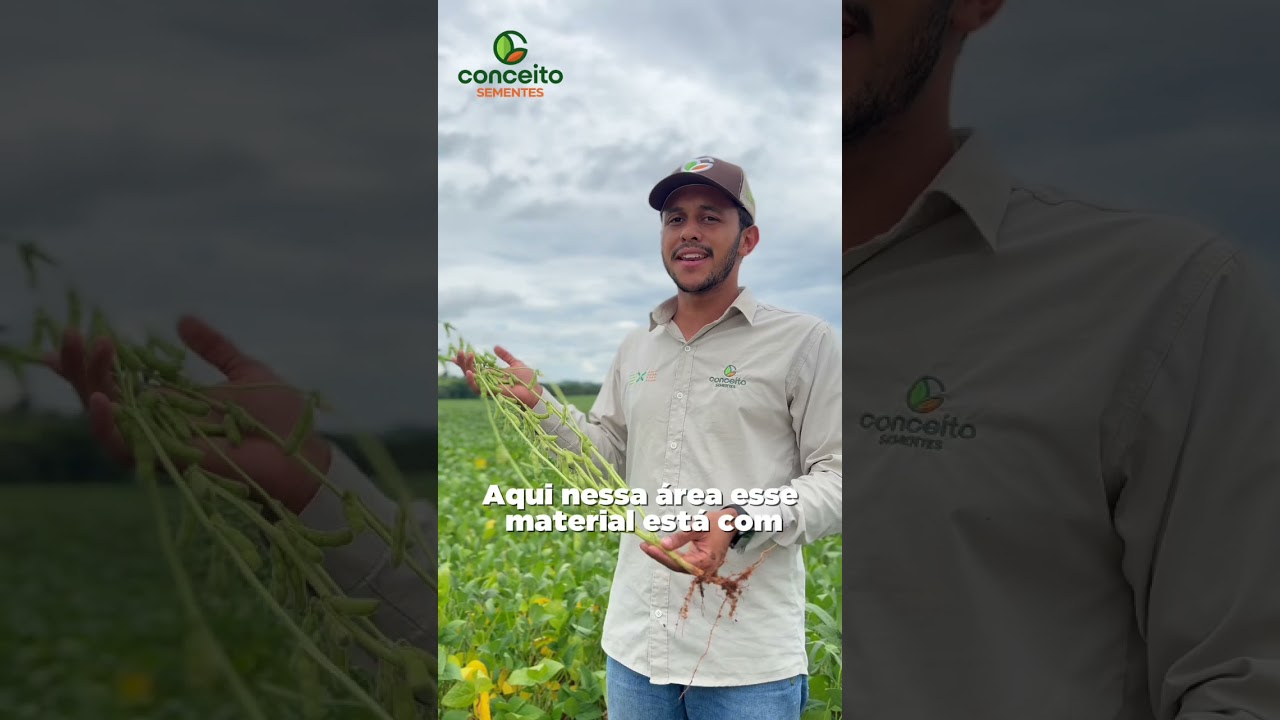 Raptor: precocidade com alto teto produtivo. 🚀