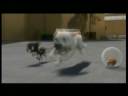 Miley Cyrus & John Travolta - I Thought I Lost You Miley Cyrus & John Travolta - I Thought I Lost You