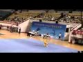 Temara Wushu