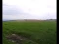 Exploring Cradle Hill Copse