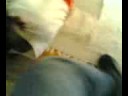 Jackass K-city 3