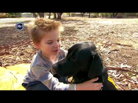 Autism Assistance Dogs - ACA Adelaide, Channel 9