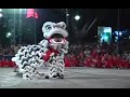 Vietnam Dragon & Lion Dance Show 9