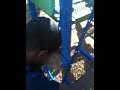 IMG_0898.MOV