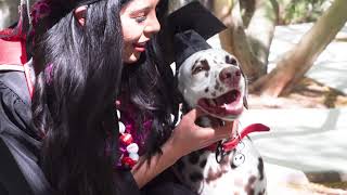 #UNLVGrad Celebrating Spring 2022 Commencement