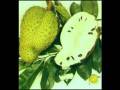 videos de A Beleza das Frutas