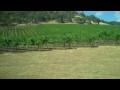 Diamond Ridge Vineyard's Unique Terroir Offers Lots of Choices
