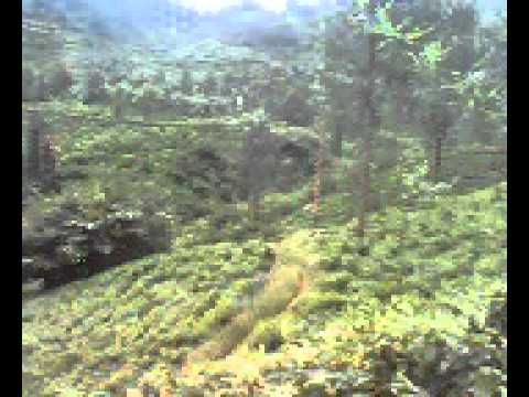php?video1=bandung+lautan+asmara&video2=Mahasiswa+bandung&action=match
