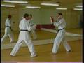 Karate Kampftechniken | Kapitel 2 - 3