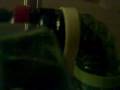 videos de HAMSTERS