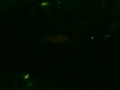 plan1.mp4 video