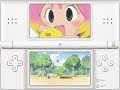 POTEMAYO NINTENDO DS Ver. [Turn of Guchuko for a long time]