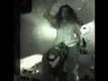 Security Cam Cowbabe